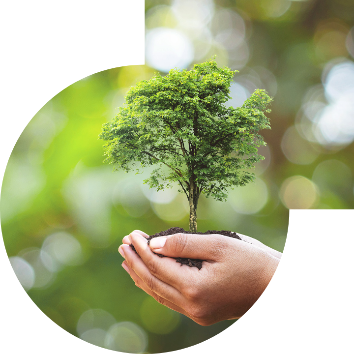 关怀人类、文化、环境与社会